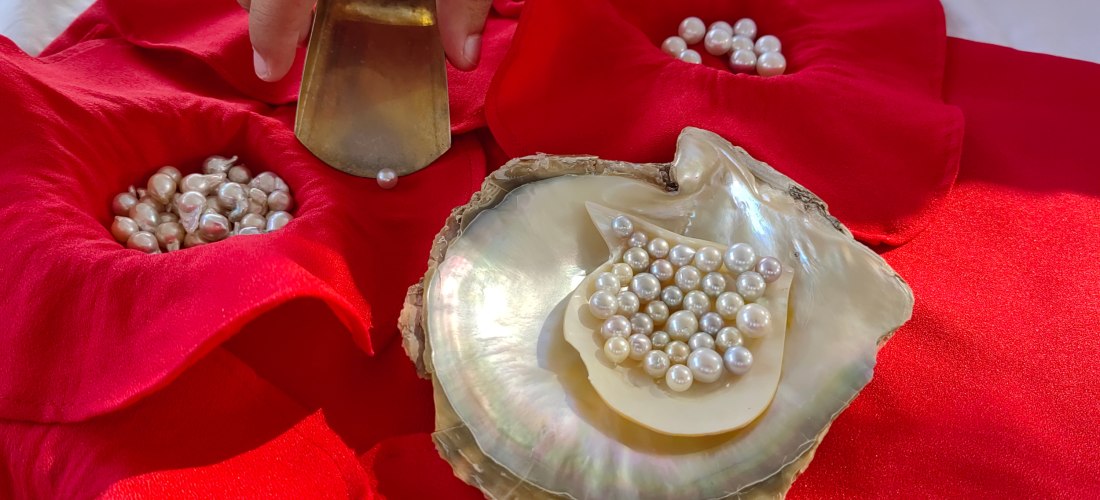 Geöffnete Auster mit glänzenden Perlen auf rotem Stoff, Hand mit Werkzeug – Suwaidi Pearl Farm Ras Al Khaimah.