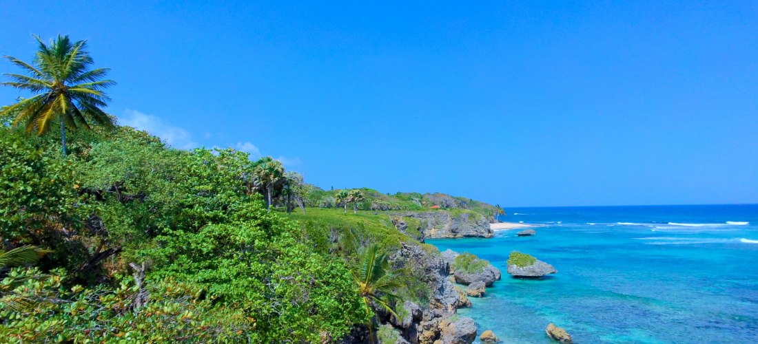 Felsige Küste mit üppiger Vegetation, türkisblauem Wasser und kleinem Sandstrand in der Dominikanischen Republik