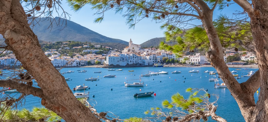 Panoramablick durch die Zweige einer Pinie auf die Bucht von Cadaqués mit zahlreichen kleinen Booten auf dem blauen Wasser. Dahinter die Küstenstadt mit weißen Häusern und einer Kirche am Hang, eingebettet in eine grüne Hügellandschaft.