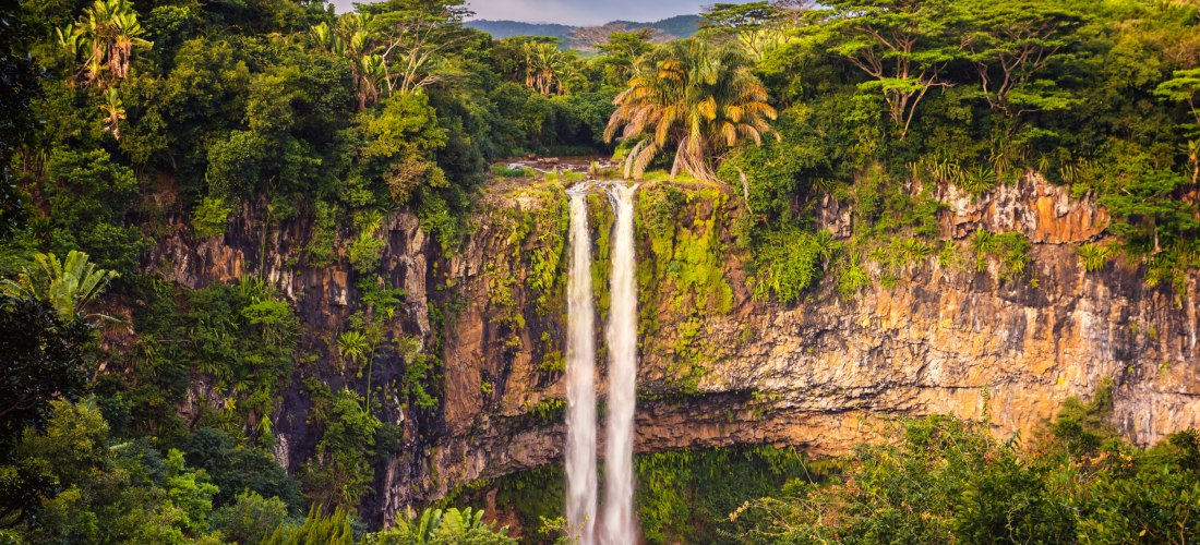Dieses Bild zeigt einen spektakulären Wasserfall, der sich von einer hohen, felsigen Klippe in die Tiefe stürzt. Die Szenerie ist umgeben von dichter, tropischer Vegetation mit hohen Bäumen, Farnen und Palmen, die in leuchtendem Grün erstrahlen. Die Felsw