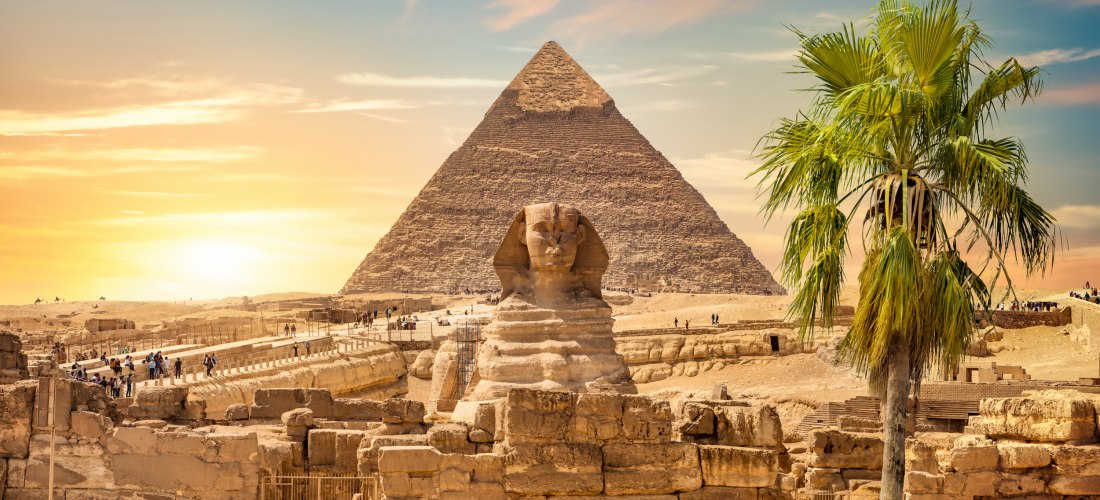 Ägypten - Gizeh und die Pyramiden Das Bild zeigt die Große Sphinx von Gizeh im Vordergrund, zentral platziert vor einer der Pyramiden. Die Szene ist in warmes Licht eines Sonnenuntergangs getaucht. Rechts im Bild ragt eine grüne Palme empor, die dem Foto einen lebendigen Kontrast zur anti