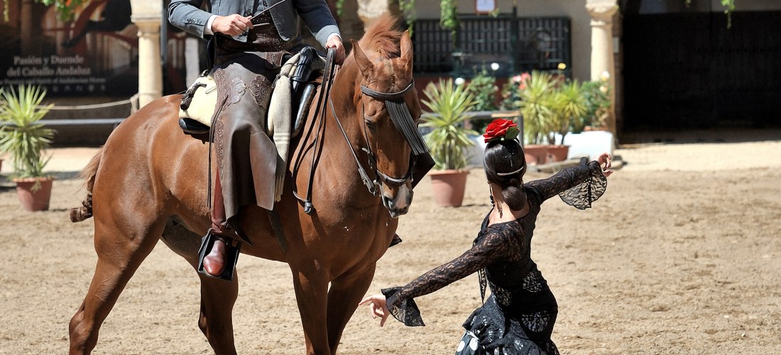 Ein Reiter in traditionellem Outfit sitzt auf einem braunen Pferd und hält eine Reitgerte. Vor ihm tanzt eine Tänzerin mit schwarzer Spitzenbluse und schwarzem Rock mit weißen Punkten. Im Hintergrund ein Innenhof mit Arkaden und Pflanzen.