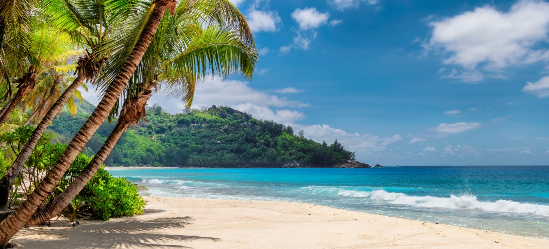 Tropischer Sandstrand mit sanften Wellen, schattenspendenden Palmen im Vordergrund und dicht bewachsenem Hügel im Hintergrund. Der Himmel ist blau mit wenigen weißen Wolken, das türkisfarbene Meer glitzert in der Sonne – eine ruhige und paradiesische Stra