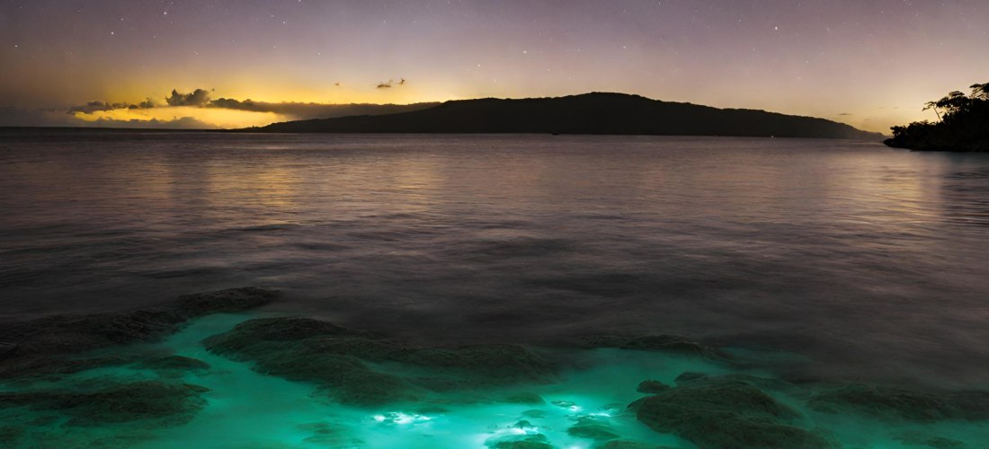 Leuchtendes Wasser an der Küste bei Nacht – faszinierendes Naturphänomen mit Blick auf das Meer und einen Sternenhimmel.