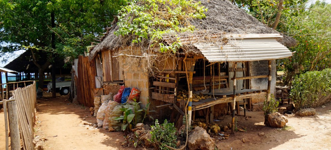 Traditionelles Haus mit Strohdach im Dorf auf Sansibar, umgeben von Bäumen und einfachem Leben