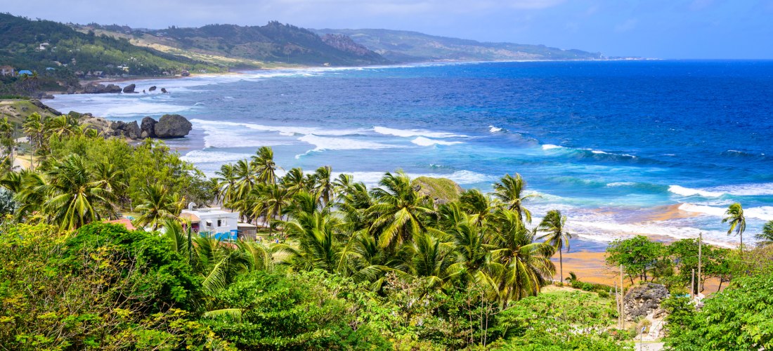 Atemberaubender Blick auf die grüne Ostküste von Barbados mit Palmen, Felsen und türkisblauem Meer.