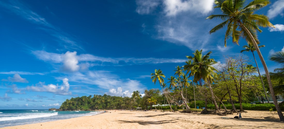 Weiter Sandstrand mit Palmen und sanften Wellen unter blauem Himmel in der Dominikanischen Republik