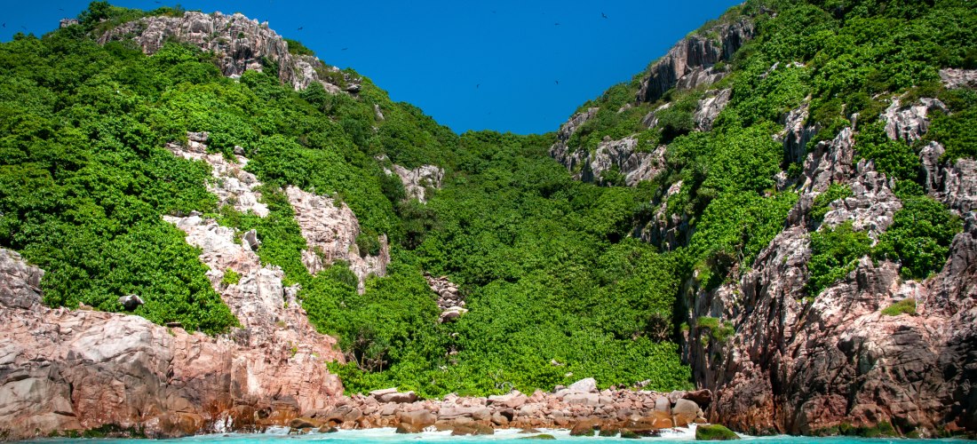 Steile Klippen und grüne Vegetation der Aride Island auf den Seychellen – unberührte Natur im geschützten Naturreservat 2025/2026