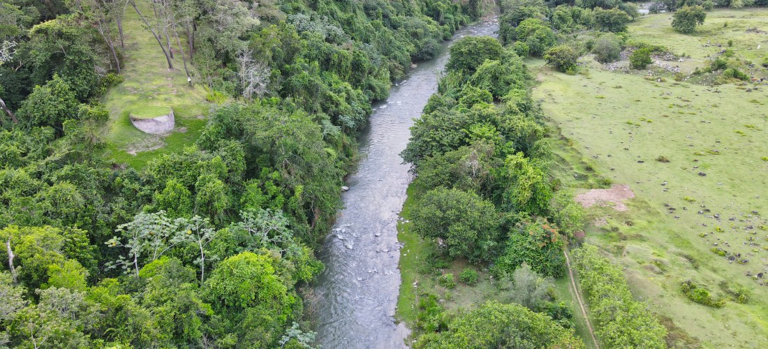 Fluss, der sich durch grüne Wälder und Wiesen in Jarabacoa, Dominikanische Republik, schlängelt