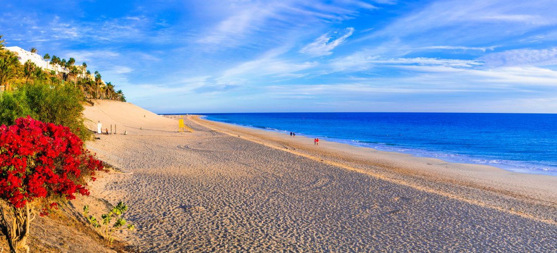 Weitläufiger Sandstrand mit tiefblauem Meer und vereinzelten Spaziergängern. Links rote Blüten und Palmen, rechts der Ozean unter blauem Himmel mit Schleierwolken