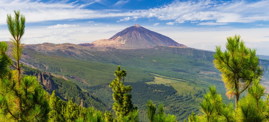 Panoramablick auf den Teide auf Teneriffa mit grüner Vulkanlandschaft und Pinienwald unter blauem Himmel