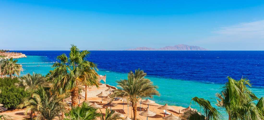Das Bild zeigt einen traumhaften Strandabschnitt in Sharm El Sheikh am Roten Meer. Im Vordergrund stehen viele Strohdach-Sonnenschirme auf goldfarbenem Sand, eingerahmt von Palmen und tropischer Vegetation. Dahinter erstreckt sich das Meer in leuchtendem 