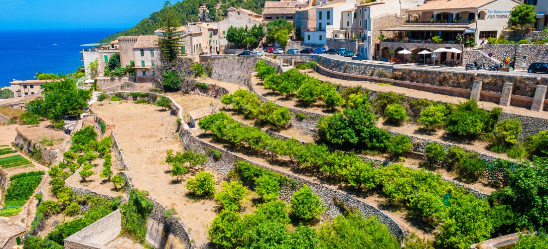 Terrassierte Felder mit kleinen Steinmauern und grünen Bäumen auf Mallorca, die sich an einen Berghang schmiegen. Dahinter erhebt sich ein malerisches Dorf mit sandfarbenen Häusern und roten Ziegeldächern. Im Hintergrund türmt sich ein bewaldeter Hügel au