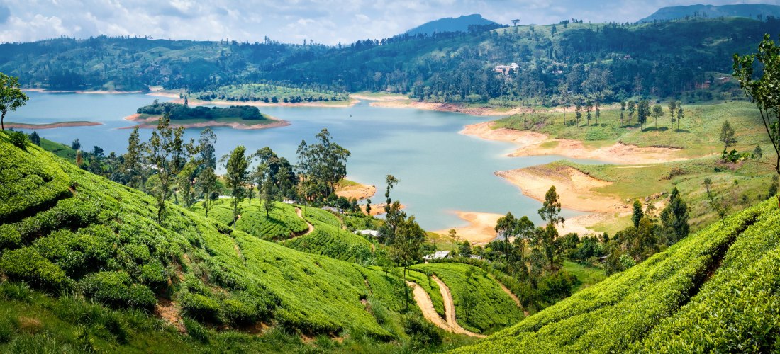Panoramablick auf grüne Teeplantagen und einen Stausee in den Bergen von Nuwara Eliya