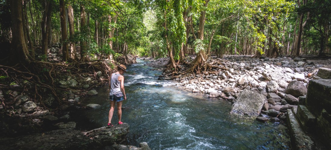 Ein atemberaubender Moment in der Natur: Eine Frau erkundet einen wilden, klaren Fluss, umgeben von dichtem tropischen Wald und beeindruckenden Baumwurzeln – pure Abenteuerlust und Naturverbundenheit!