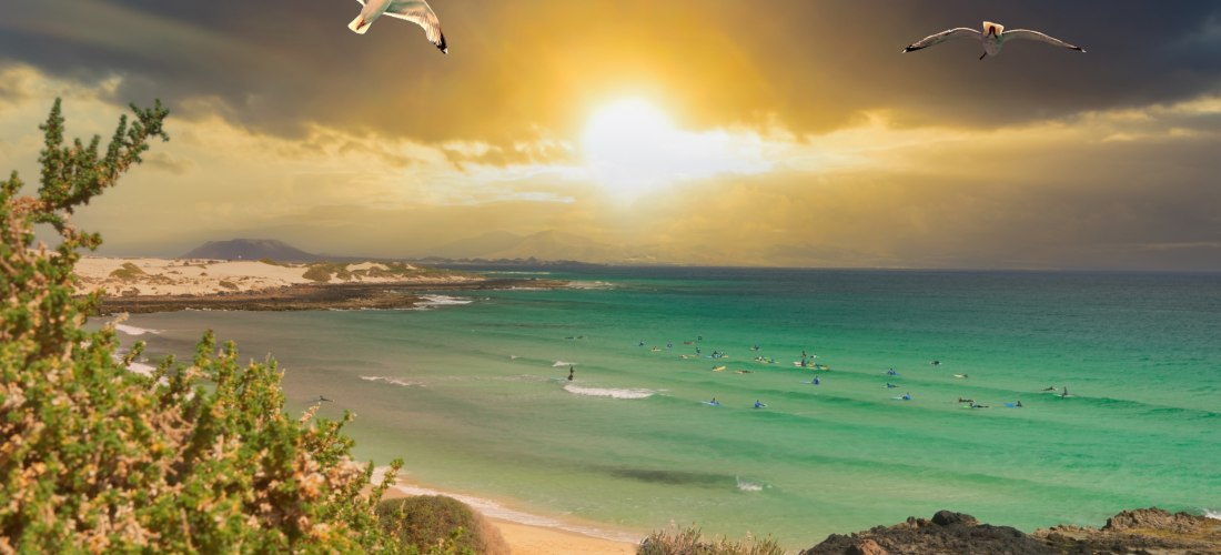 Blick über eine grüne Küstenlandschaft bei Sonnenuntergang. Im Wasser warten zahlreiche Surfer auf Wellen, darüber fliegen zwei Möwen am dramatisch gefärbten Himmel.