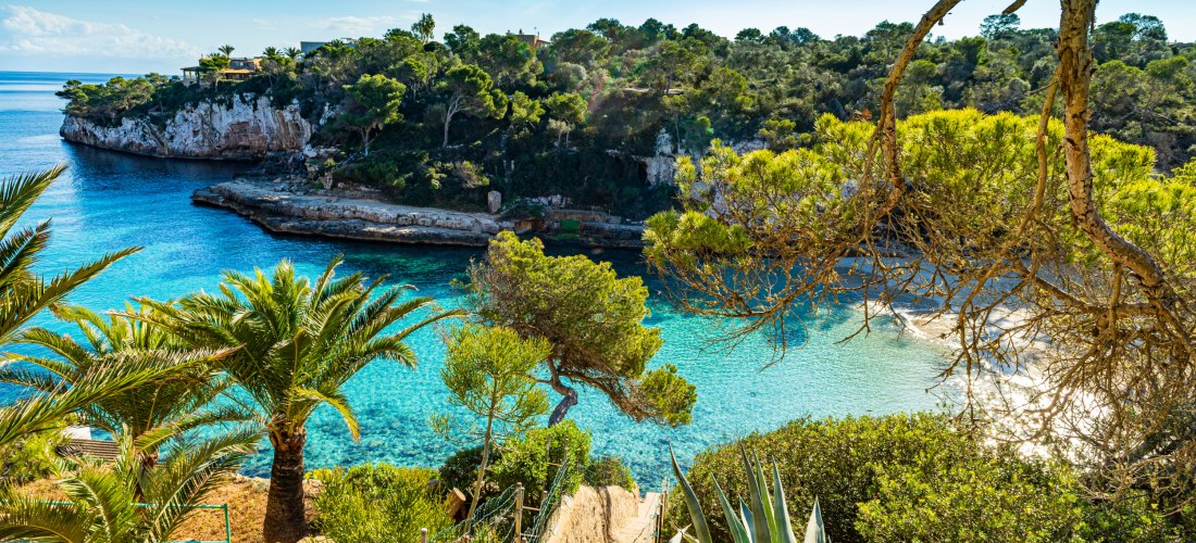 Eine malerische Bucht auf Mallorca mit türkisblauem Wasser, die von steilen Klippen und Pinien gesäumt wird. Im Vordergrund führen steinerne Treppenstufen gesäumt von Palmen und Agaven hinunter zum Wasser. Die Bucht liegt ruhig unter strahlend blauem Himm