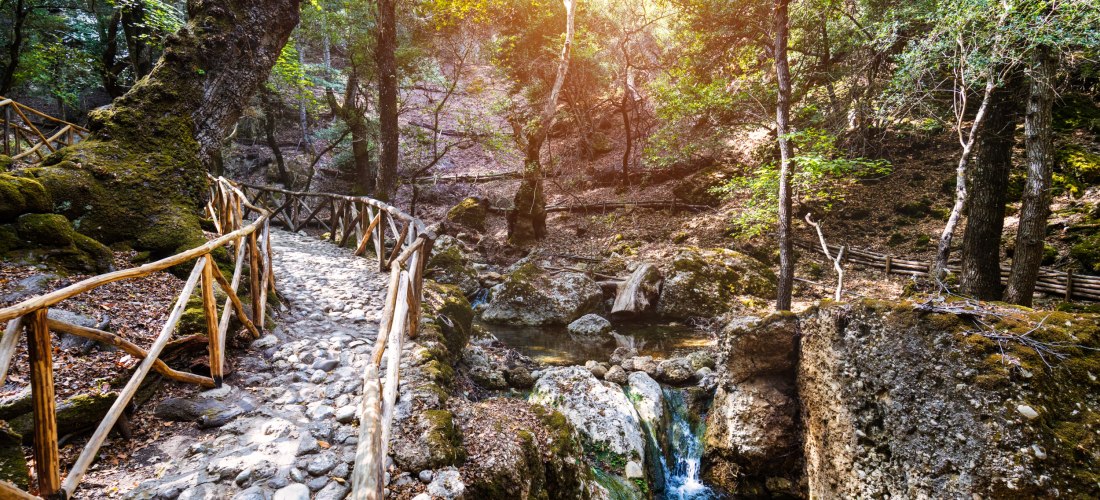 Idyllischer Waldweg mit Natursteinen gepflastert, gesäumt von einem einfachen Holzgeländer. Links steht ein moosbedeckter, alter Baum mit starkem Stamm. Rechts fließt ein klarer Bach mit kleinem Wasserfall zwischen moosigen Felsen. Die Morgensonne bricht 