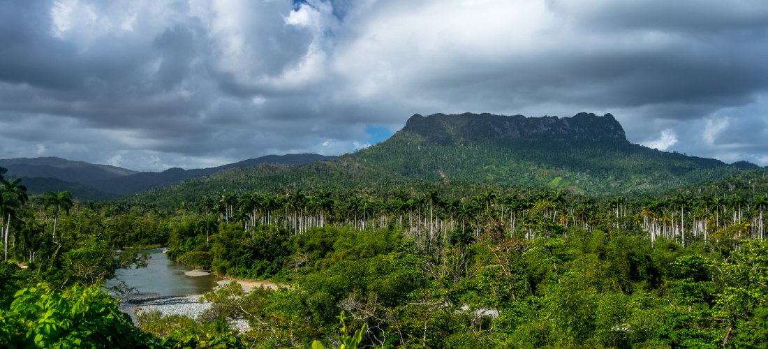 Humboldt-Nationalpark – UNESCO-Weltnaturerbe und Regenwaldparadies in Kuba Blick auf die dichten Regenwälder und den markanten Berg El Yunque im Humboldt-Nationalpark bei Baracoa auf Kuba, umgeben von Flusslandschaften und üppiger Vegetation.