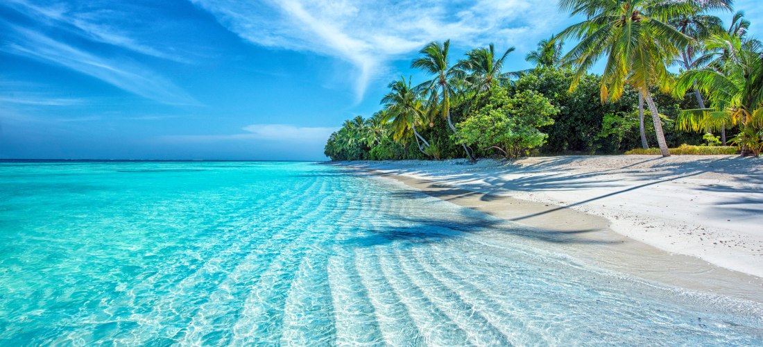 Diese traumhafte Kulisse lädt zum Träumen ein: Ein unberührter weißer Sandstrand, umgeben von üppigen              Palmen, erstreckt sich entlang der Küste. Das kristallklare Wasser leuchtet in verschiedenen              Türkistönen und reflektiert das sa