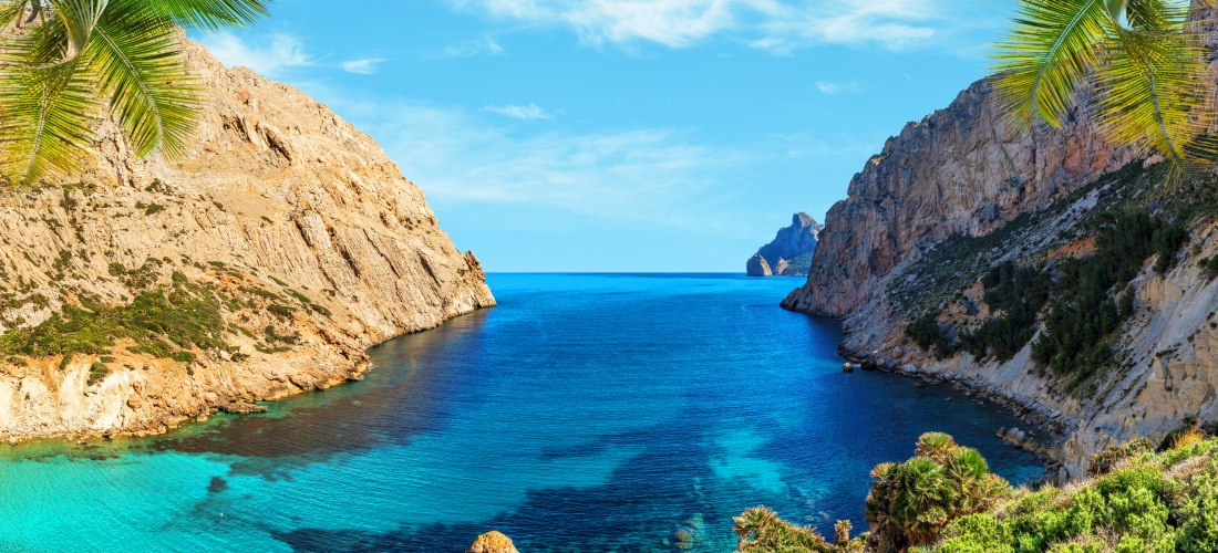 Atemberaubende Aussicht auf eine türkisfarbene Bucht auf Mallorca, eingerahmt von hohen Felsklippen und tropischen Palmen im Vordergrund