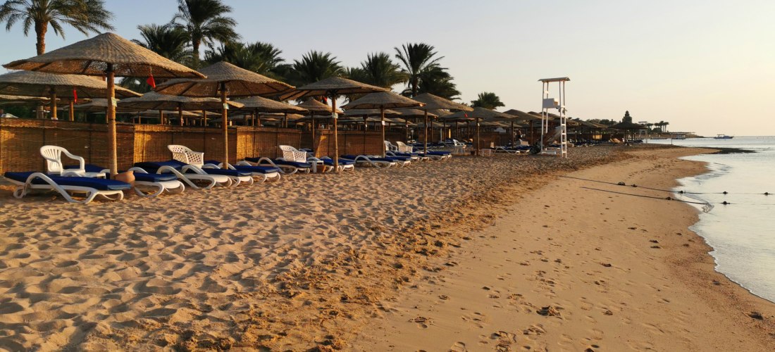 Ruhiger Sandstrand mit Sonnenliegen unter Strohschirmen, daneben Palmen. Im Hintergrund das ruhige Meer, rechts eine weiße Rettungssitzbank. Der Himmel ist klar.