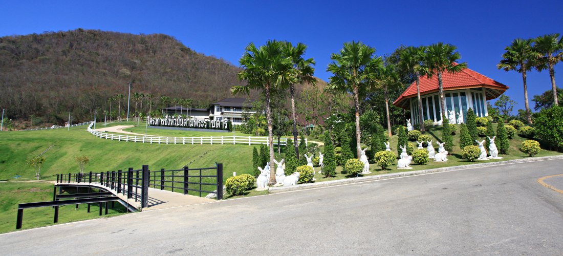 Landwirtschaftsprojekt der königlichen Initiative – Grüne Landschaft bei Hua Hin, Thailand Königliches Landwirtschaftsprojekt mit Gartenanlage und Palmen bei Hua Hin in Zentralthailand