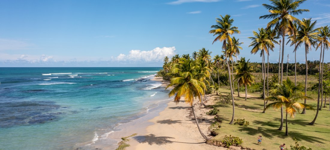 Unberührter Strand mit Palmen und türkisblauem Wasser in Miches, Dominikanische Republik – ein echter Geheimtipp