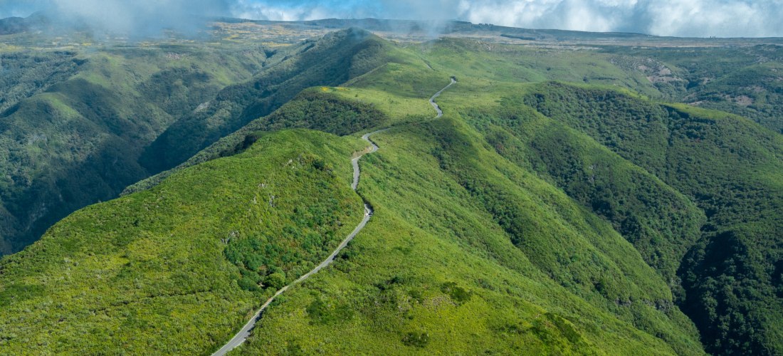 Paul da Serra Madeira – Hochebene mit endlosen grünen Hügeln Luftaufnahme der Hochebene Paul da Serra auf Madeira mit kurviger Straße durch grüne Hügel und Wolkenlandschaft