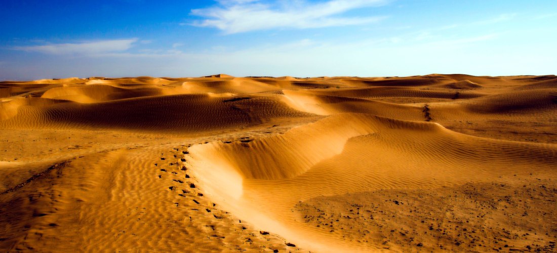 Eine endlose Wüstenlandschaft mit goldgelben Sanddünen und sanften Hügeln, die bis zum Horizont reichen. Der blaue Himmel mit vereinzelten weißen Wolken verstärkt den Eindruck von Weite und Freiheit.