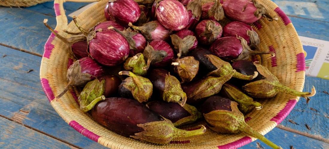 Ein geflochtener Korb voller Auberginen auf einem blauen Holztisch. Zu sehen sind runde, violett-weiß gestreifte Auberginen sowie dunkellila längliche Auberginen mit grünen Stielen.
