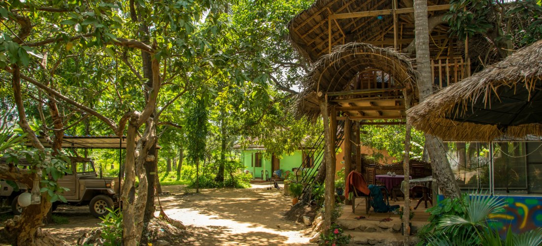 Naturnahe Unterkunft in Sri Lanka mit einem rustikalen Baumhaus aus Holz und Palmendach, eingebettet in tropisches Grün. Im Vordergrund Bäume, Pflanzen und ein unbefestigter Weg. Links ein Jeep unter einem Unterstand, rechts Sitzgelegenheiten unter dem Ba