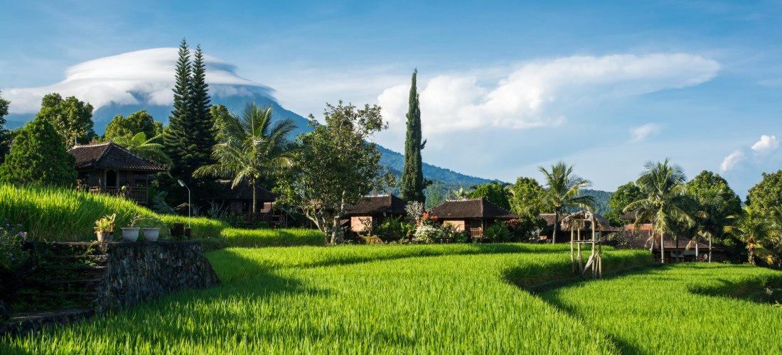 Traditionelle Holzhäuser inmitten grüner Reisterrassen mit Blick auf den Vulkan Agung auf Bali, Indonesien
