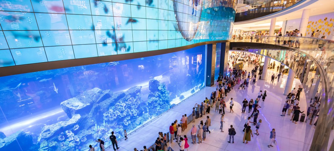 Aquarium in der Dubai Mall