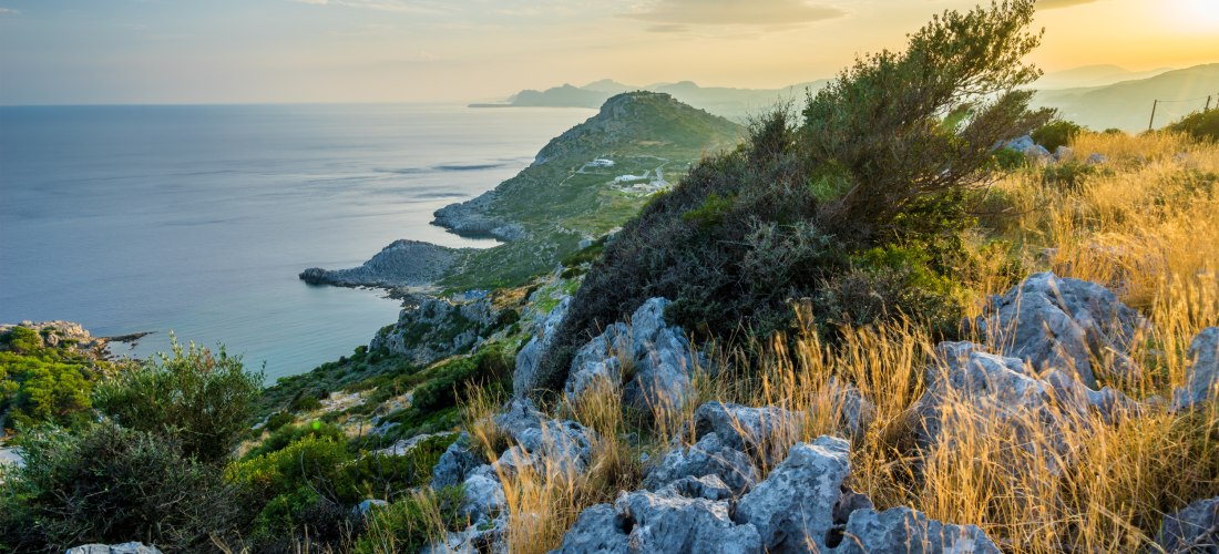 Küstenlandschaft mit Blick auf das Meer bei Sonnenuntergang. Im Vordergrund wachsen trockene Gräser zwischen Felsen, im Hintergrund ziehen sich grüne Hügel entlang der Küste. Das Meer schimmert in weichem Licht, der Himmel ist leicht bewölkt und in warme 