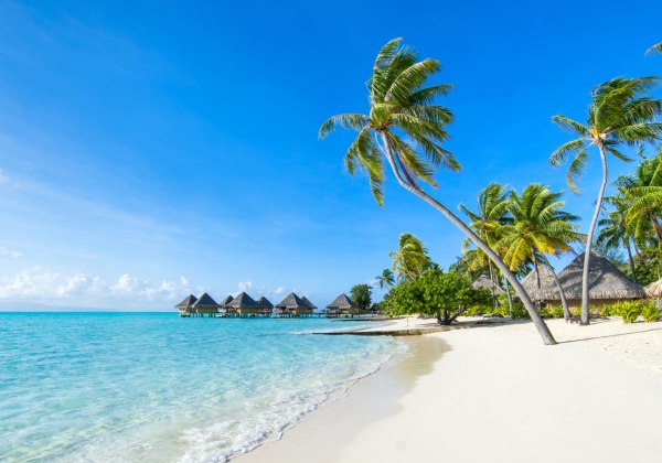 Ein paradiesischer Sandstrand mit sanften Wellen, hohen Palmen und luxuriösen Wasservillen im Hintergrund.              Perfekt für Erholung, Entspannung und unvergessliche Urlaubsmomente.