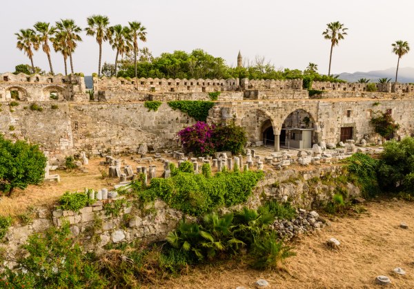 Ein historisches Ausgrabungsgelände auf Kos mit einer alten Steinmauer, runden Torbögen und verstreut liegenden antiken Säulenfragmenten. Im Hintergrund wachsen Palmen und weitere Bäume. Die Szene wirkt ruhig und leicht mediterran überwuchert.