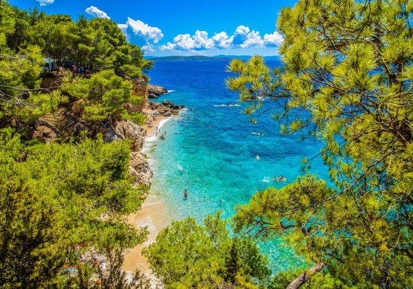 Kleine Bucht mit türkisfarbenem Wasser, Pinienbäumen und Badenden an einem felsigen Strand