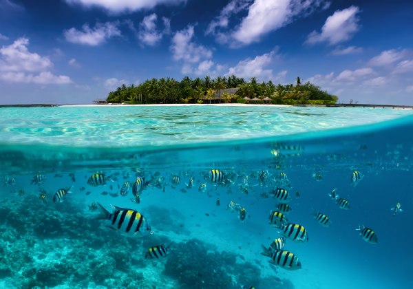 Tropische Insel auf den Malediven mit bunter Unterwasserwelt, Fischen, Korallen und blauem Himmel