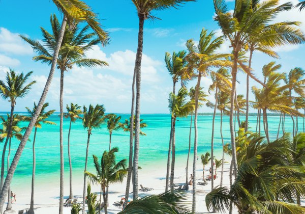 Hohe Palmen am weißen Sandstrand mit Blick auf türkisblaues Meer unter sonnigem Himmel, Menschen entspannen auf Sonnenliegen