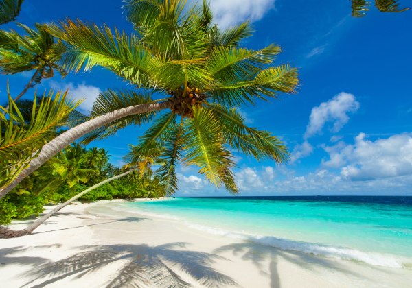  Malediven - Palmenstrand, Himmel und Meer