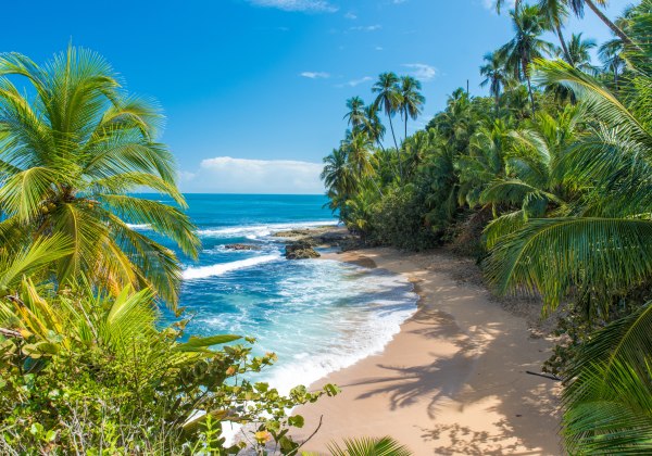 Tropischer Sandstrand mit Palmen und türkisblauem Wasser an einem sonnigen Tag