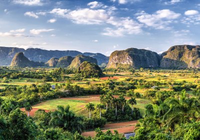 Viñales-Tal Kuba – Naturparadies mit Mogotes