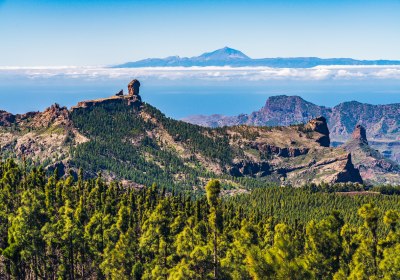 Gran Canaria Teaser