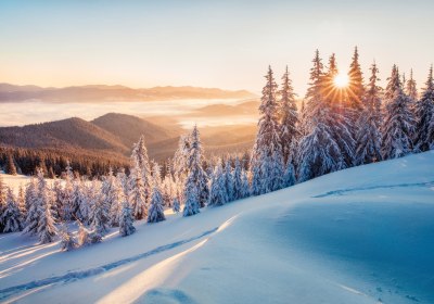Winterfoto