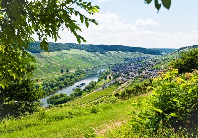 eifel mit hund