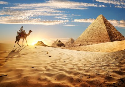 Ägypten Kamele