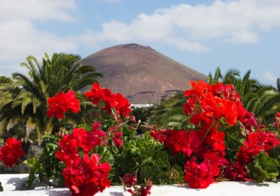 Lanzarote Frühling