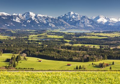 allgäu last minute