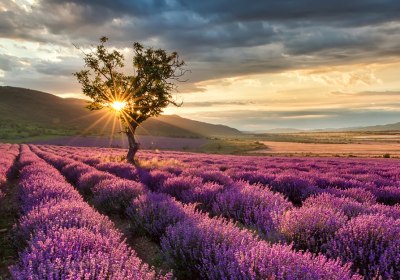 Bulgarien Wellnesshotels